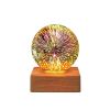 USB 3D Firework Crystals Ball Night Light Plug In Romantic Star LED Night Light Christmas Lights Christmas Home Decorations - 9x9x11.8cm - Starry sky