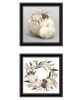 "BOHO Pumpkins and Flowers" 2-Piece Vignette by House Fenway; Ready to Hang Framed Print; Black Frame - as Pic