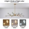 Modern American chandelier golden iron -15 bulb - Default