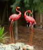 Bright Flamingo Yard Art - Looking Back